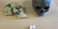 image: Earliest Modern Europeans Described