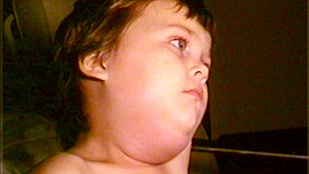 Vax-Autism Papers Re-examined image: Vax-Autism Papers Re-examined