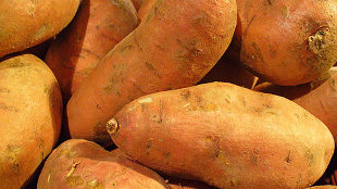 Sweet Potato Gets Funding image: Sweet Potato Gets Funding