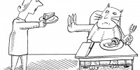 image: Cat Cravings