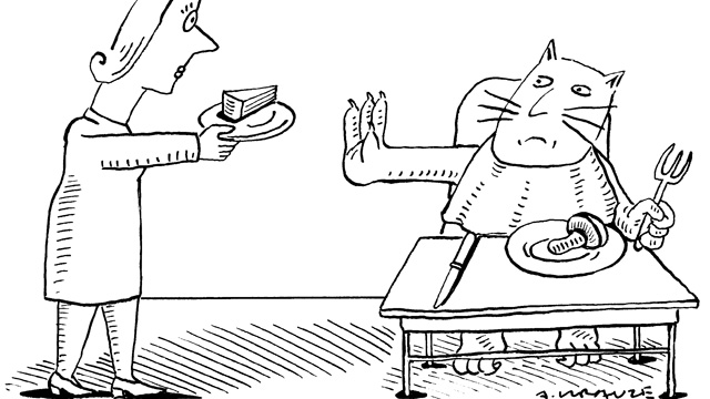 Cat Cravings image: Cat Cravings