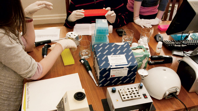 Trinity students at work in Mark Stoeckle’s dining-room laboratoryMark Stoeckle