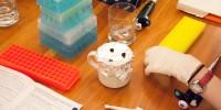 Dining room table with lab equipment: A Qiagen DNA extraction kit was used, following the instruction book seen in the photo. The pipettors were purchased used on the internet from a lab equipment re-seller. A teacup with aluminum foil was used as an an ice bath. The pipette tips and other disposable items were purchased new over the internet. The disposables including Qiagen kit cost about $10/sample. The samples were sent to Macrogen for sequencing for about $5/sample. Mark Stoeckle