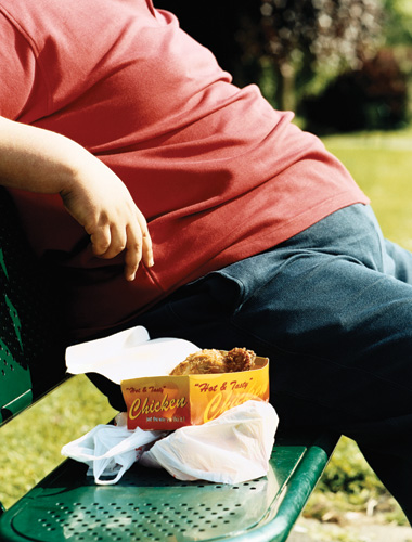 Sensing Fat image: Sensing Fat