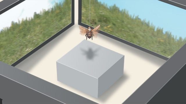 Flight of the Honeybee image: Flight of the Honeybee