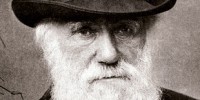 image: Darwin Didn't Plagiarize Wallace