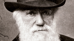 Darwin Didn't Plagiarize Wallace image: Darwin Didn't Plagiarize Wallace