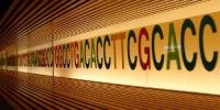 image: Video Gamers Help Solve Disease