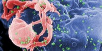 image: HIV Prevention Debate