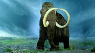 Mammoth Proteome Described image: Mammoth Proteome Described