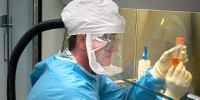 image: Green Light for Boston Biolab?