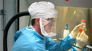 Green Light for Boston Biolab? image: Green Light for Boston Biolab?