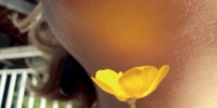 image: Brightness of Buttercups