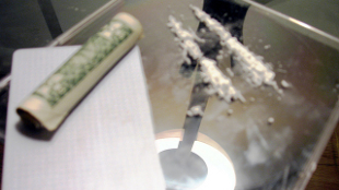 Reversing Cocaine’s Effects with Light image: Reversing Cocaine’s Effects with Light