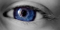 image: An Eye for Stem Cells