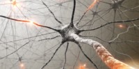image: Light Bright Neurons