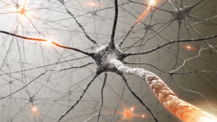 Light Bright Neurons image: Light Bright Neurons