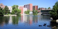 image: More Trouble for Nevada Institute