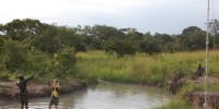 Reeder's graduate student Megan Vodzak and a South Sudanese wildlife officer set up triple-high mist nets to catch bats. Nets are particularly effective along rivers because bats use them as flyways. Unfortunately for Vodzak and the wildlife officer, the river was infested with leeches.Courtesy of DeeAnn Reeder