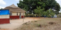 The Reeder family compound in the village of Mogiri. The building on the left is the kitchen while the main building with the straw roof doubled as the family's dormitory and working area. Reeder's graduate students and field technicians slept in the tents to the far right, some of which served as makeshift laboratories.Courtesy of DeeAnn Reeder