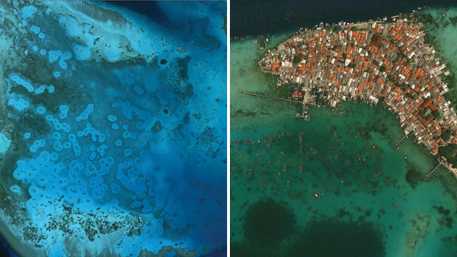 HALOS FROM THE HEAVENS: Rings of bare sand surrounding coral reefs, known as grazing halos, such as the ones in this satellite photo of a Red Sea coral reef (left), are readily visible using Google Earth. A lack of grazing halos around offshore coral reefs—such as the ones in the highly developed Panggang Island off the coast of Jakarta (right)—may signify overfishing of predators that prey on small, reef-dwelling herbivores.