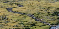Entomologist at Vilnius University, Lithuania, Sigitas Podenas samples from a stream meandering the Altai Mountains in Mongolia as part of the Mongolian Aquatic Insect Survey.Jon Gelhaus