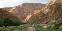 Gelhaus's tent at one of the sites sampled during the Altai Mountains expeditionJon Gelhaus