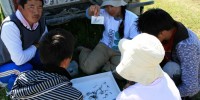 Mongolian scientists and students prepare specimensJon Gelhaus