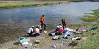 The Mongolian Aquatic Insect Survey team sample at Khalkhyn Gol riverJohn Morse