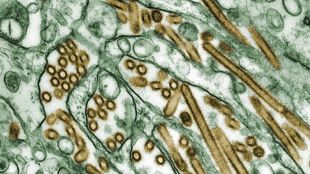 The Risks of Dangerous Research image: The Risks of Dangerous Research