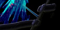 image: Next Generation: Sneaking into a Cell