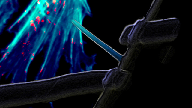 Next Generation: Sneaking into a Cell image: Next Generation: Sneaking into a Cell