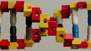 Can DNA Self-replicate? image: Can DNA Self-replicate?