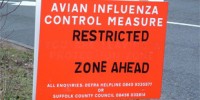 image: A Call to Stop H5N1 Research