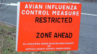 A Call to Stop H5N1 Research image: A Call to Stop H5N1 Research