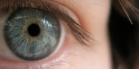 image: Eye Trials Give Hope for Stem Cells