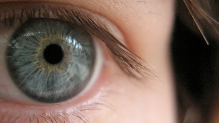 Eye Trials Give Hope for Stem Cells image: Eye Trials Give Hope for Stem Cells