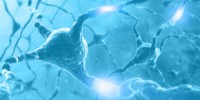 image: McKnight Neuroscientist Dies