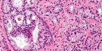 image: News from AAAS