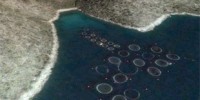 image: Satellites Spy on Fish Farms