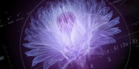 Screenshot from a video produced by Panasonic Hollywood Labs (PHL) featuring Murayama’s work