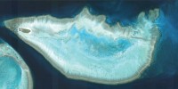 Marine biologist Elizabeth Madin first got the idea of using Google Earth to look at grazing halos while on a field trip to Australia's Heron Island pictured here.Google Earth on January 10, 2011, Copyright 2011 Europa Technologies, Tele Atlas, Digitalglobe