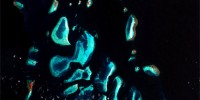 Landsat 7 image of coral reef in Takebone, Indonesia. Red areas denote photosynthetic vegetation.Courtesy of Frank Muller-Karger