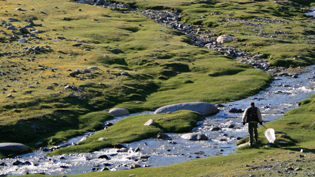 Entomologist at Vilnius University, Lithuania, Sigitas Podenas samples from a stream meandering the Altai Mountains in Mongolia as part of the Mongolian Aquatic Insect Survey.Jon Gelhaus