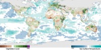 Scientists at NASA are using satellite measurements of sea-surface temperatures and land vegetation greening to predict outbreaks of Rift Valley fever in East Africa. This map shows anomalies in sea-surface temperatures and in the Normalized Difference Vegetation Index (NDVI), which quantifies the amount of vegetation cover (based on visible and near-infrared reflectance data from sensors onboard NOAA’s polar orbiting satellites), observed globally in January 2007. The unusually high sea surface temperatures (teal) sustained in the western equatorial Indian Ocean and the central and eastern equatorial Pacific Ocean since the summer of 2006 had caused an anomalous growth in vegetation (purple), in Eastern Africa due to heavy rainfall. This in turn led to a population boom of mosquitoes carrying Rift Valley fever virus.NASA/Goddard Space Flight Center Scientific Visualization Studio