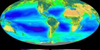 In the 1960s, microbiologist Rita Colwell proposed that Vibrio cholerae was a marine bacterium that lives in association with zooplankton. Many decades later, Colwell uses satellite measurements of chlorophyll concentrations in the oceans to track and predict cholera outbreaks. Chlorophyll serves as a proxy for phytoplankton blooms, which are food for the cholera-laden zooplankton. This image shows a seven-year average of phytoplankton chlorophyll concentration in the world's oceansNASA's Goddard Space Flight Center 