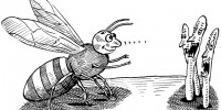 image: T-Bee
