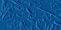 image: Propitious Prions
