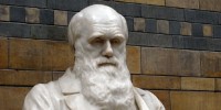 image: Darwin Day Celebrations