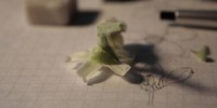 A flower in the process of being disected by Murayama.Macoto Murayama